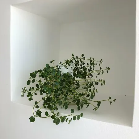 In Te Domine Speravi Volosko, Apartment Opatija