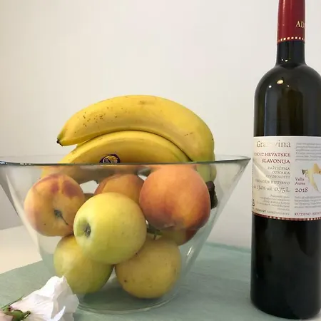 公寓 In Te Domine Speravi Volosko,