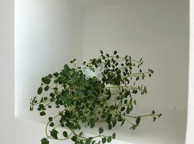 In Te Domine Speravi Volosko, Apartamento Opatija